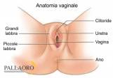 Vaginoplastica  2026/2027