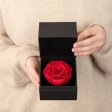 LA ROSA ETERNA 